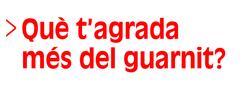 Què t’agrada més del guarnit? (Selecció, Dos de cinc) (Accés a Reproductor)